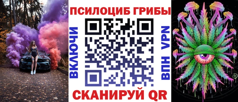 Купить  Красногорск  Псилоцибиновые грибы мицелий 